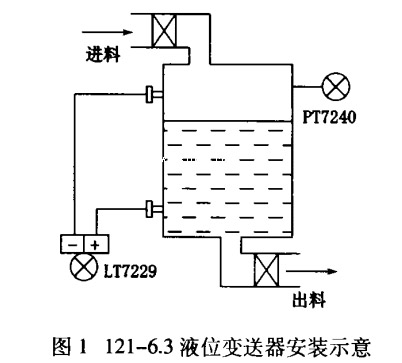 雙法蘭液位蜜桃视频色版APP安裝示意圖